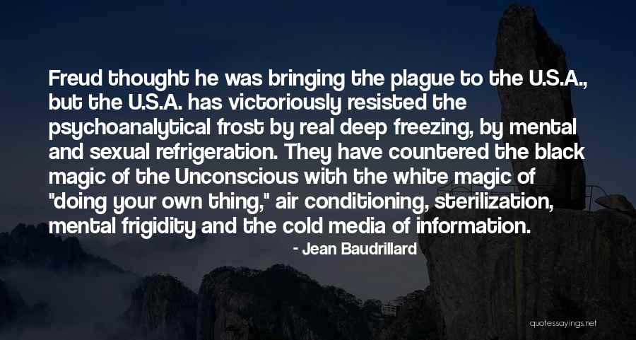 Best Black Thought Quotes By Jean Baudrillard