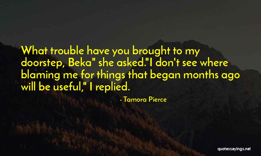 Best Blaming Quotes By Tamora Pierce Best Blaming Quotes By Tamora Pierce
