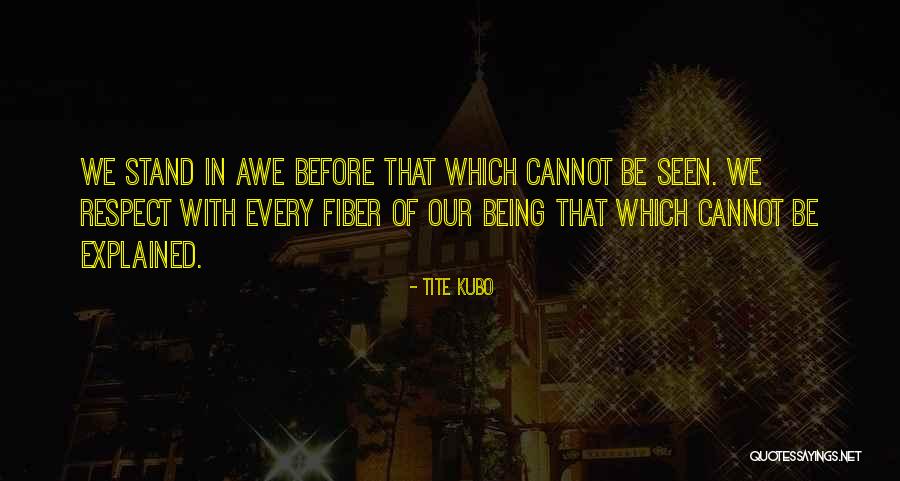Best Bleach Quotes By Tite Kubo