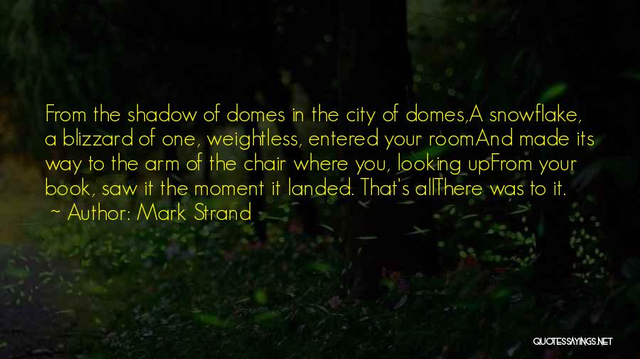 Best Blizzard Quotes By Mark Strand