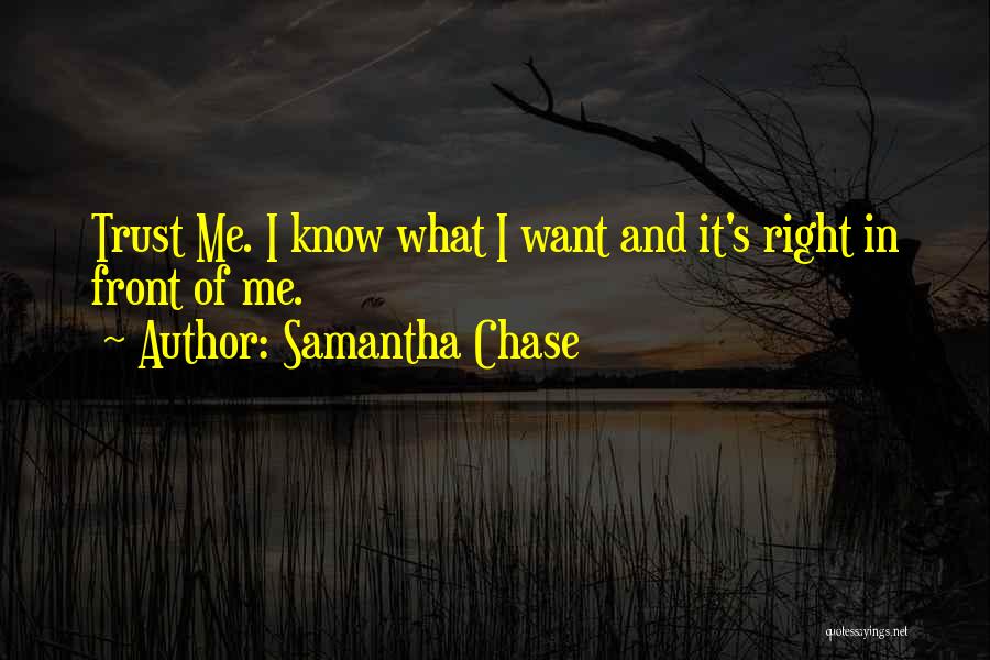 Best Blogger Quotes By Samantha Chase