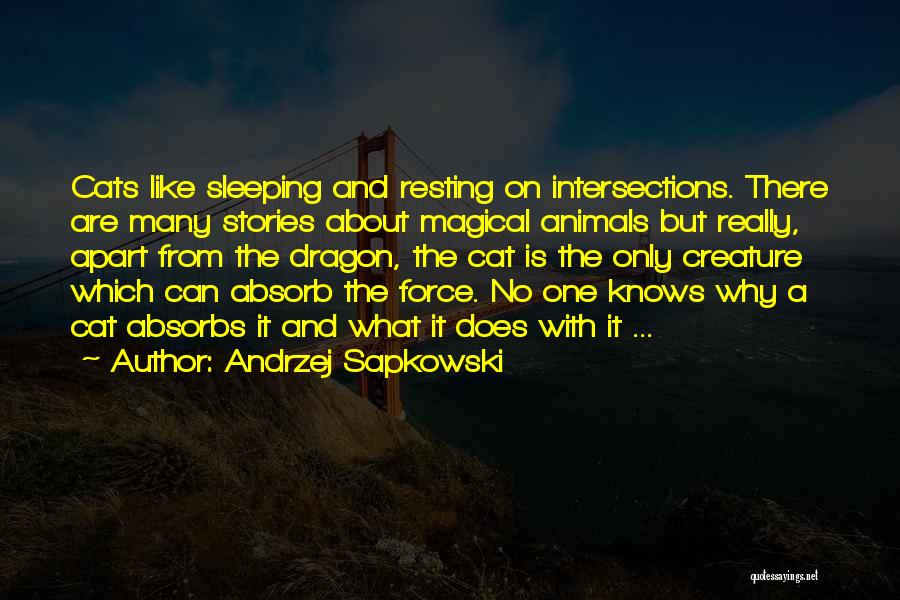Best Blood Dragon Quotes By Andrzej Sapkowski
