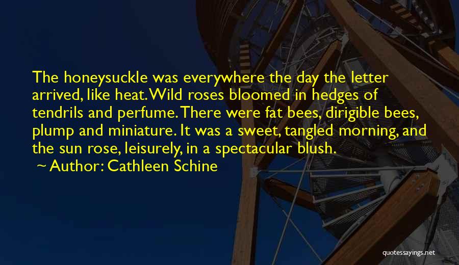 Best Blush Quotes By Cathleen Schine