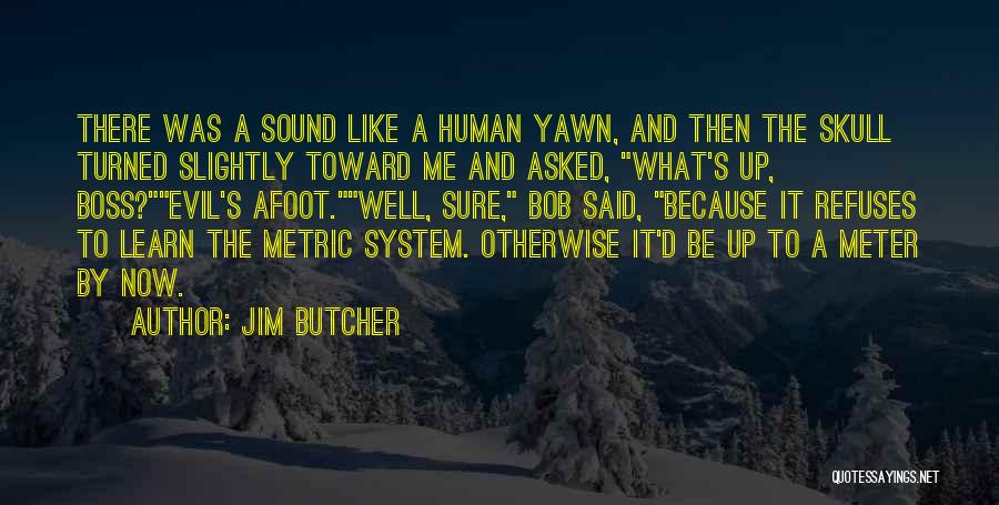 Best Bob The Skull Quotes By Jim Butcher