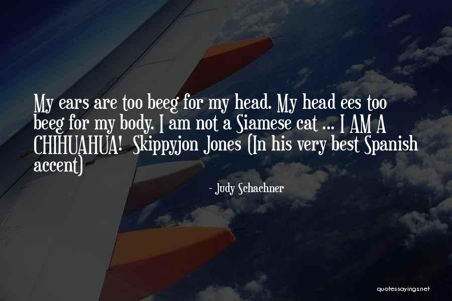 Best Book For Quotes By Judy Schachner Best Book For Quotes By Judy Schachner