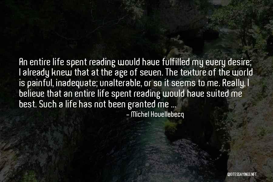 Best Books Quotes By Michel Houellebecq