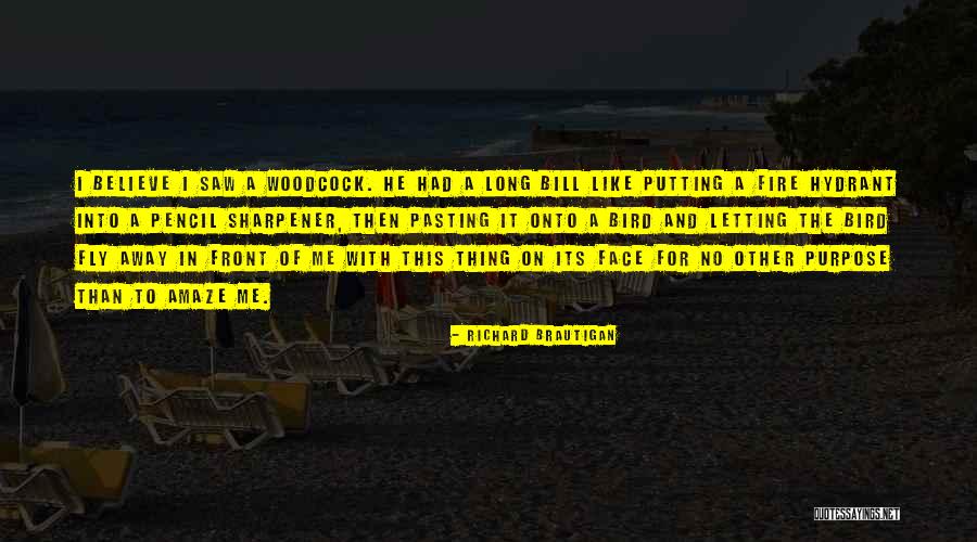 Best Brautigan Quotes By Richard Brautigan Best Brautigan Quotes By Richard Brautigan