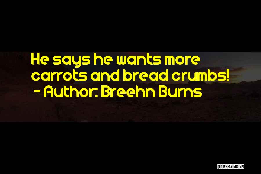 Best Bravest Warriors Quotes By Breehn Burns