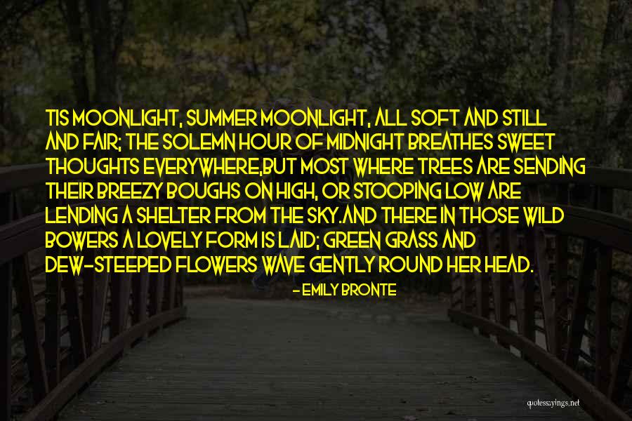 Best Breezy Quotes By Emily Bronte Best Breezy Quotes By Emily Bronte