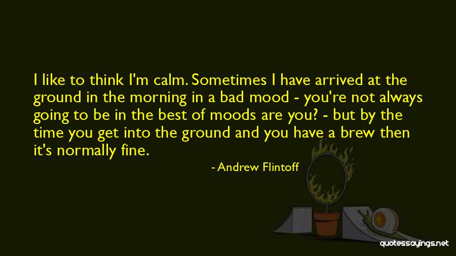 Best Brew Quotes By Andrew Flintoff Best Brew Quotes By Andrew Flintoff