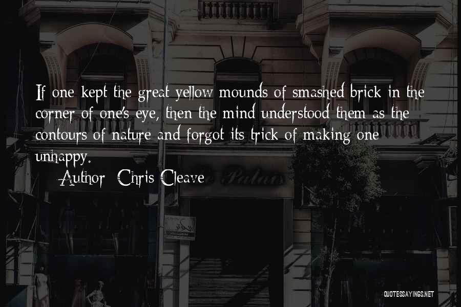 Best Brick Quotes By Chris Cleave