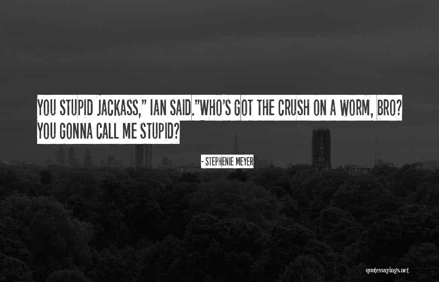 Best Bro Quotes By Stephenie Meyer Best Bro Quotes By Stephenie Meyer