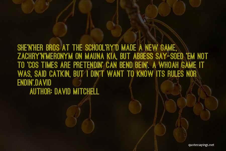 Best Bros Quotes By David Mitchell