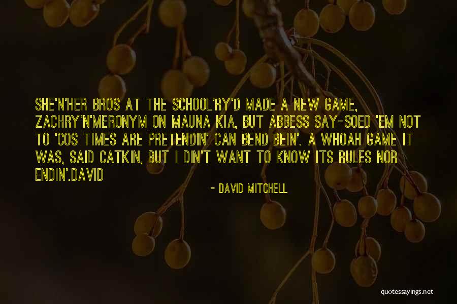 Best Bros Quotes By David Mitchell