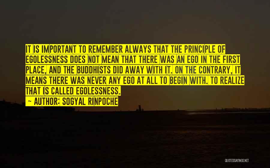 Best Buddhist Quotes By Sogyal Rinpoche