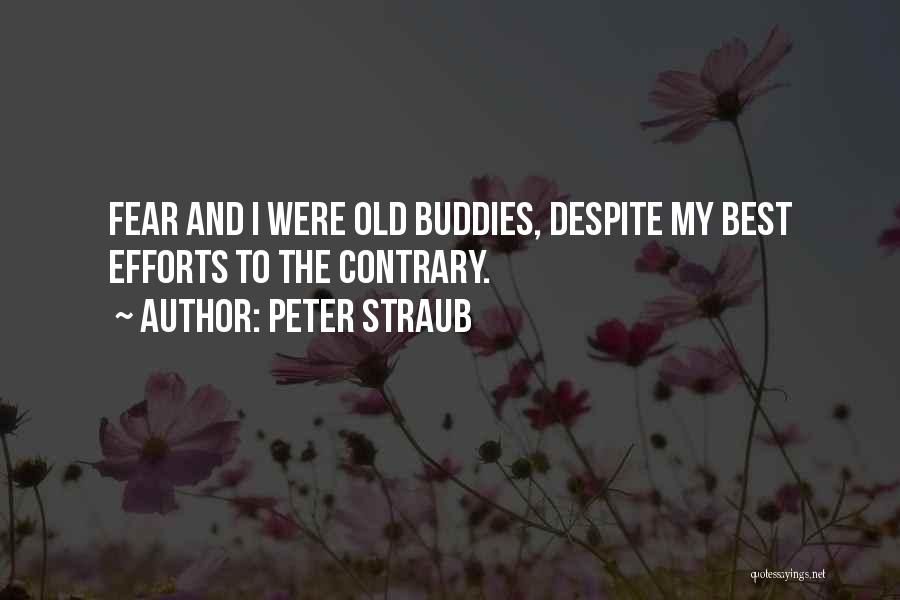 Best Buddies Quotes By Peter Straub