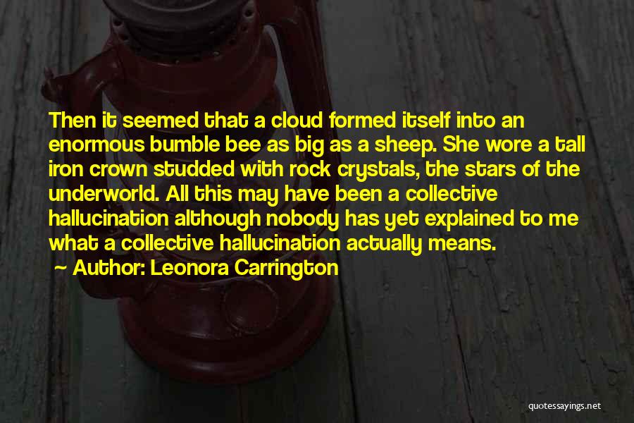 Best Bumble Quotes By Leonora Carrington