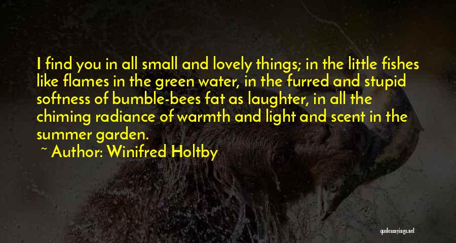 Best Bumble Quotes By Winifred Holtby