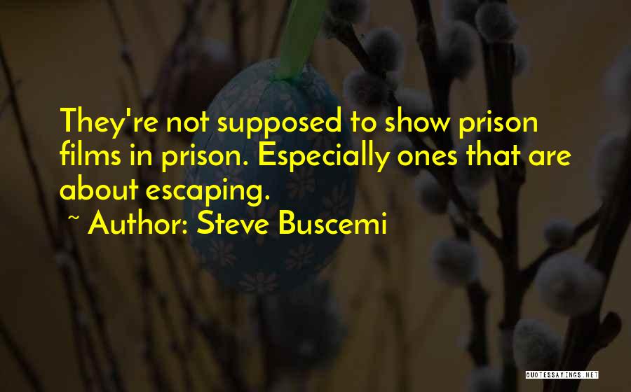 Best Buscemi Quotes By Steve Buscemi