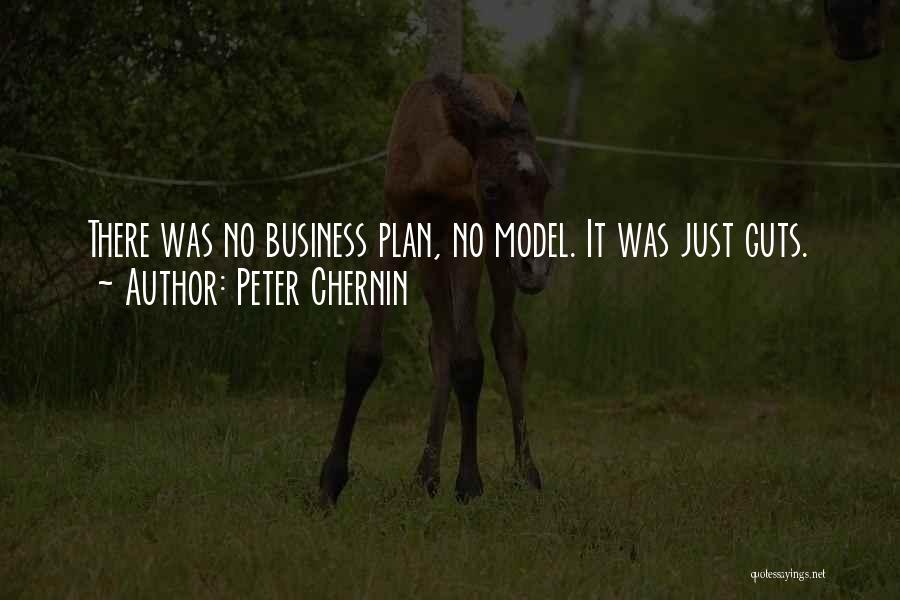 Best Business Plan Quotes By Peter Chernin