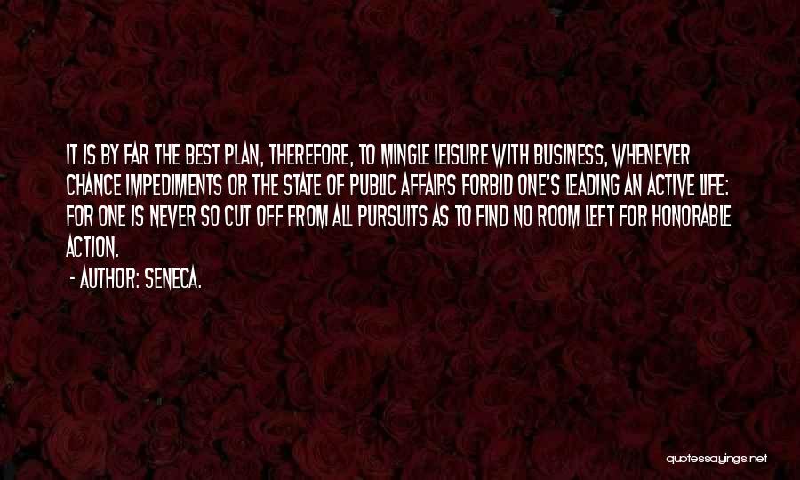 Best Business Plan Quotes By Seneca.
