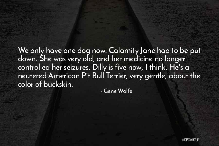 Best Calamity Jane Quotes By Gene Wolfe