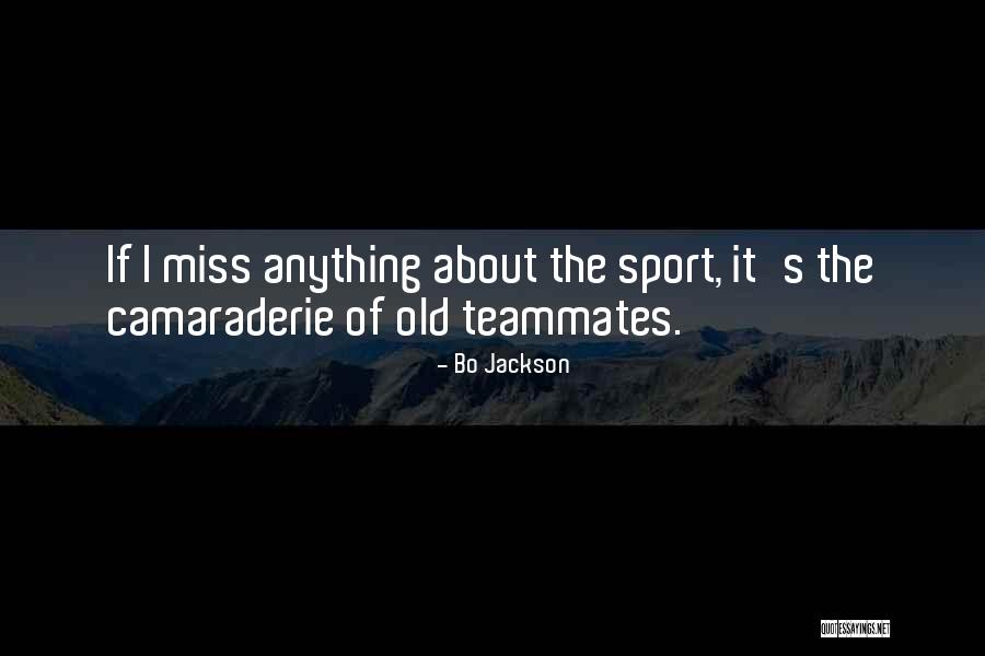 Best Camaraderie Quotes By Bo Jackson