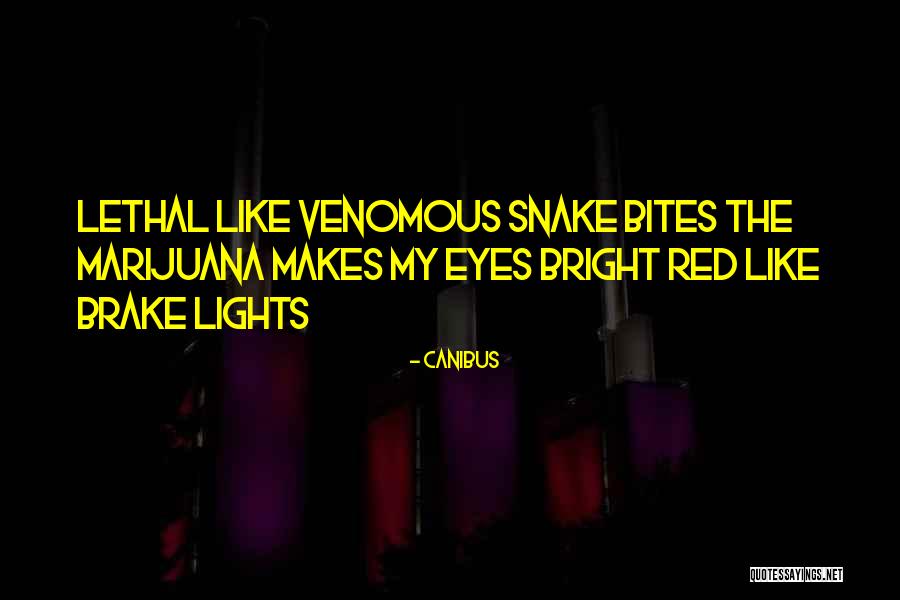 Best Canibus Quotes By Canibus Best Canibus Quotes By Canibus