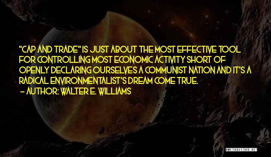 Best Cap Quotes By Walter E. Williams