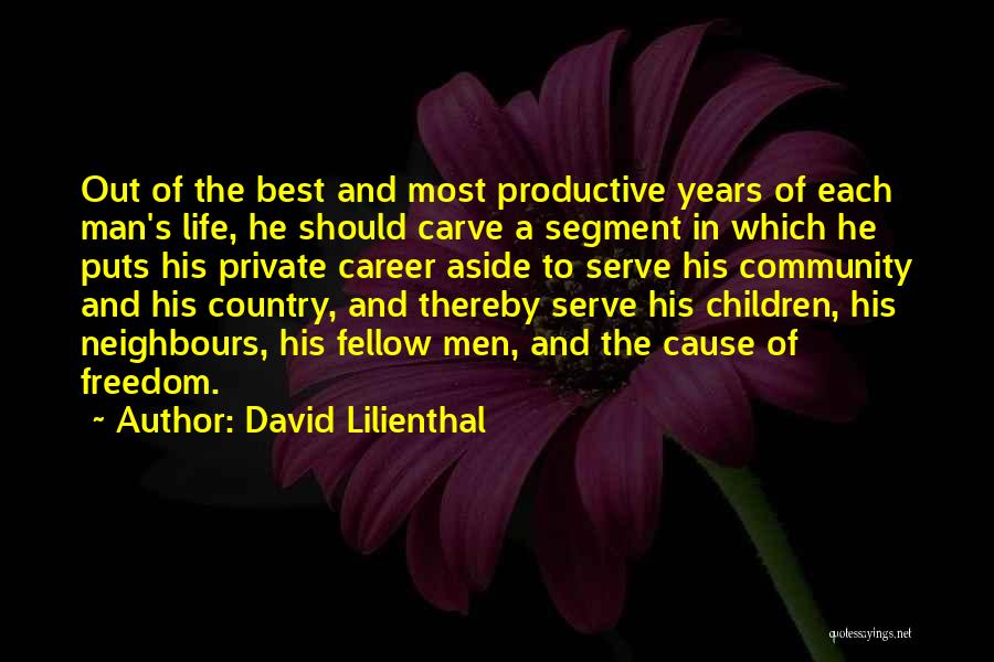 Best Career Quotes By David Lilienthal