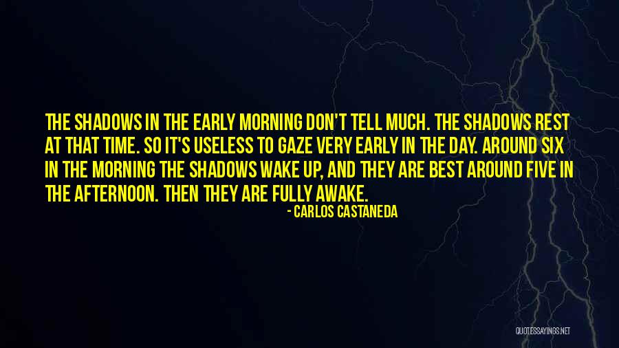 Best Carlos Castaneda Quotes By Carlos Castaneda Best Carlos Castaneda Quotes By Carlos Castaneda
