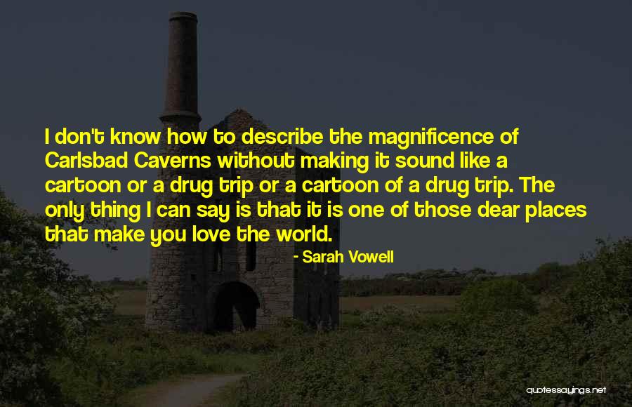 Best Cartoon Love Quotes By Sarah Vowell