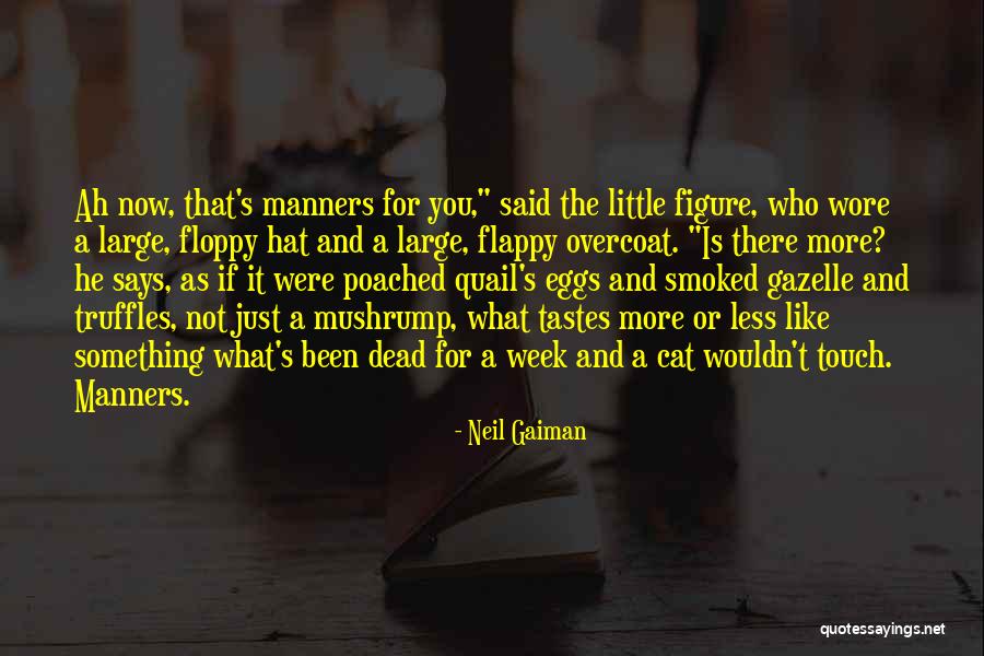 Best Cat In The Hat Quotes By Neil Gaiman Best Cat In The Hat Quotes By Neil Gaiman