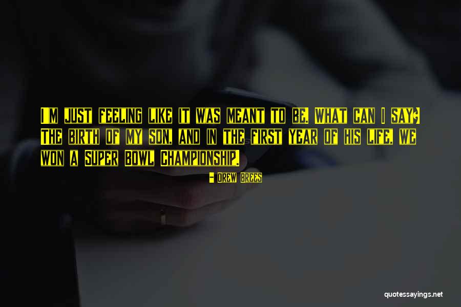 Best Championship Football Quotes By Drew Brees Best Championship Football Quotes By Drew Brees
