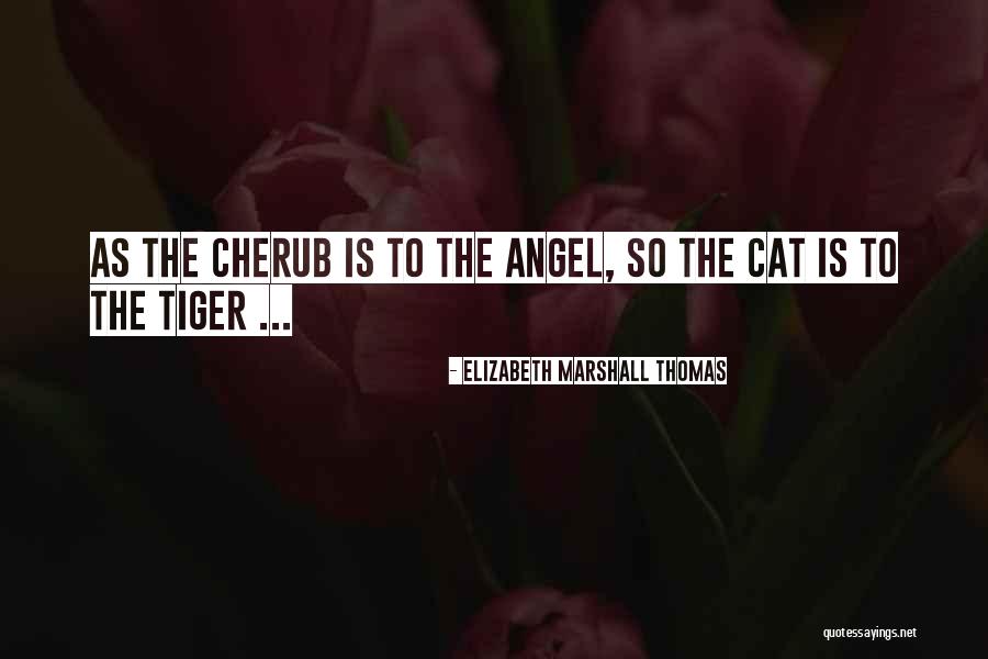 Best Cherub Quotes By Elizabeth Marshall Thomas Best Cherub Quotes By Elizabeth Marshall Thomas