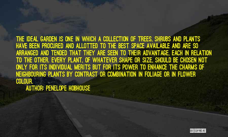 Best Chosen Quotes By Penelope Hobhouse