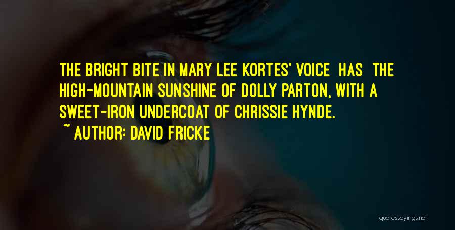 Best Chrissie Hynde Quotes By David Fricke
