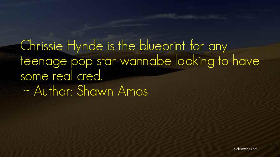 Best Chrissie Hynde Quotes By Shawn Amos