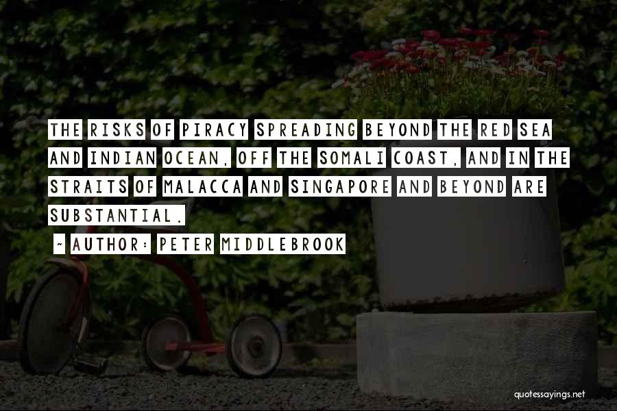 Best Coast Quotes By Peter Middlebrook