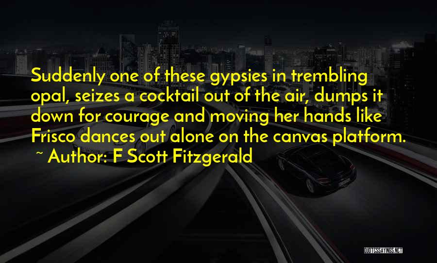 Best Cocktail Quotes By F Scott Fitzgerald