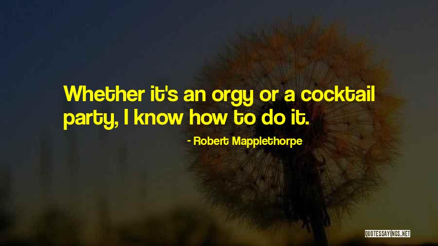 Best Cocktail Quotes By Robert Mapplethorpe