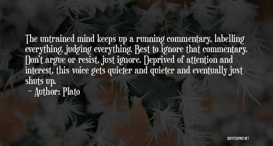 Best Commentary Quotes By Plato