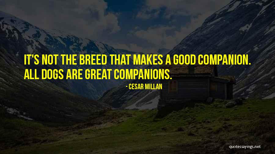 Best Companion Dogs Quotes By Cesar Millan