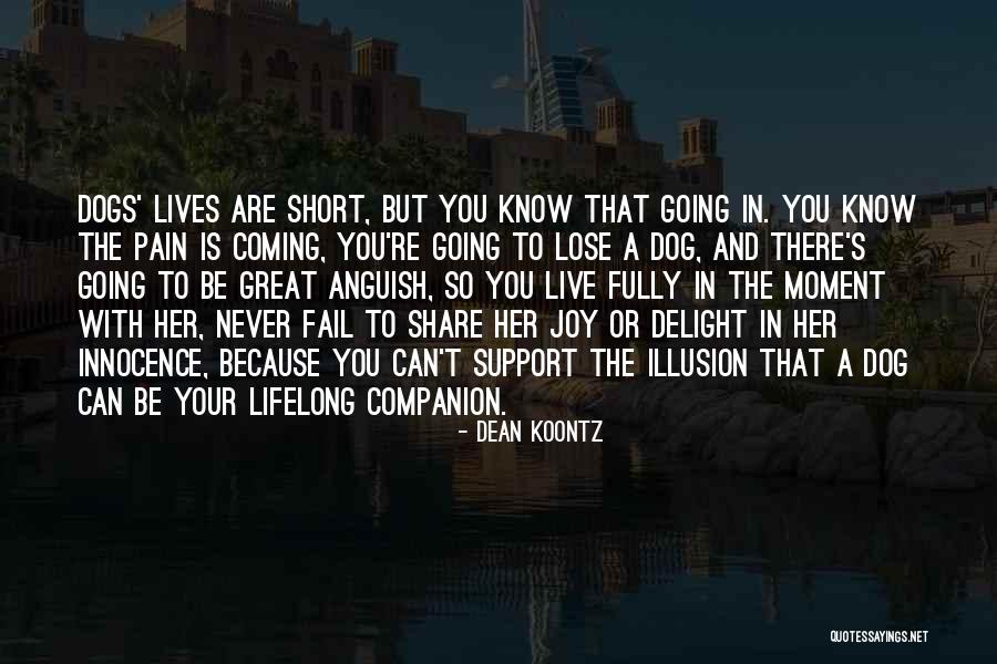 Best Companion Dogs Quotes By Dean Koontz