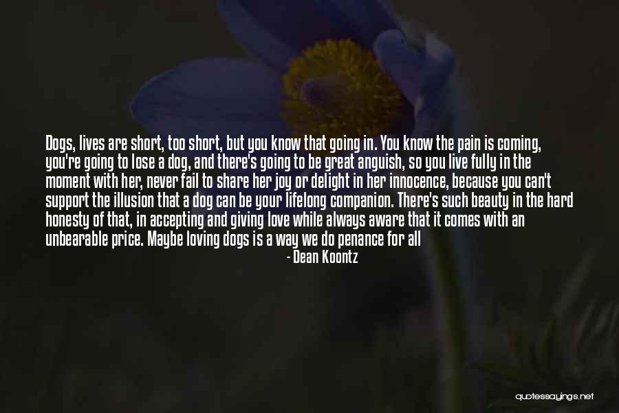 Best Companion Dogs Quotes By Dean Koontz