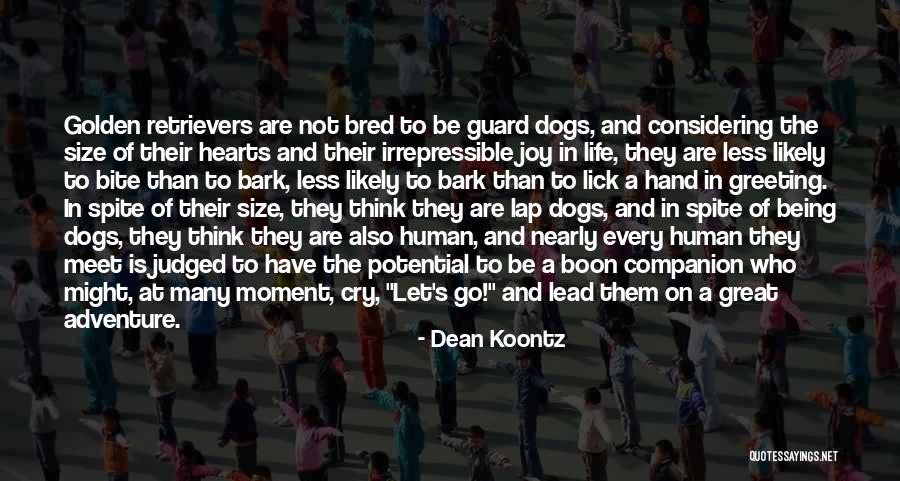 Best Companion Dogs Quotes By Dean Koontz