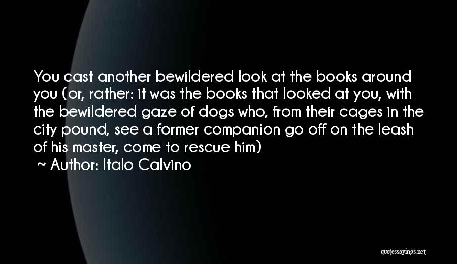 Best Companion Dogs Quotes By Italo Calvino