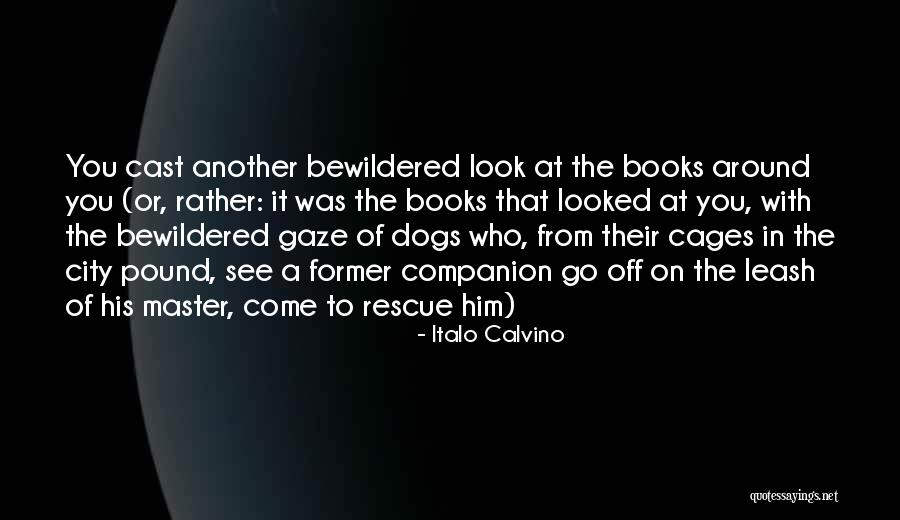 Best Companion Dogs Quotes By Italo Calvino