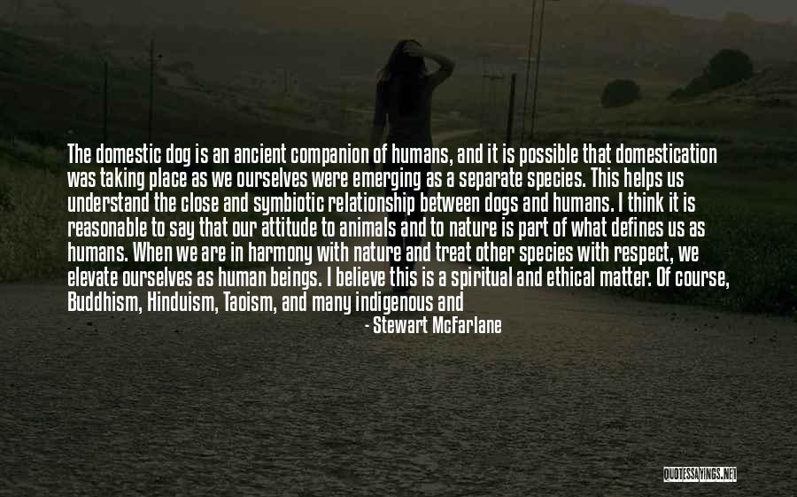 Best Companion Dogs Quotes By Stewart McFarlane