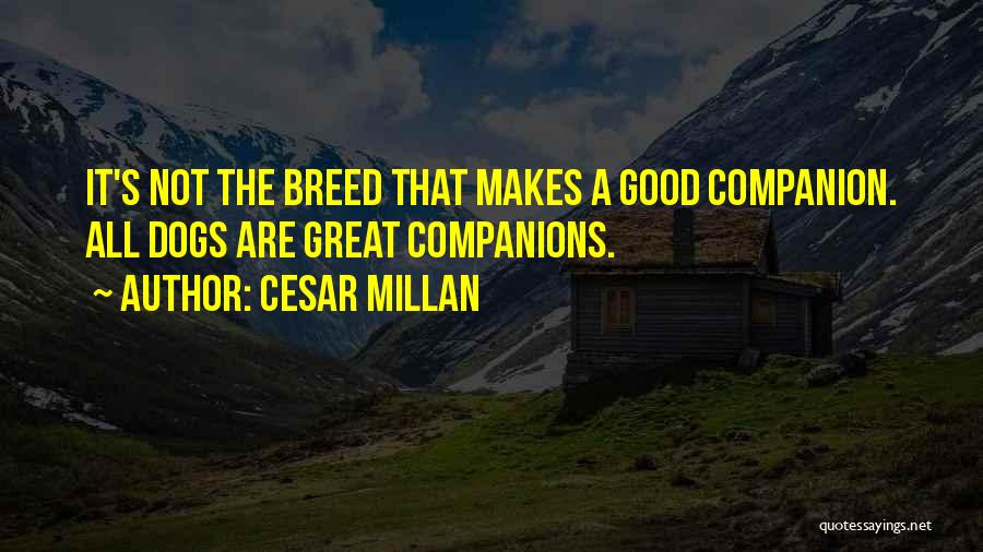 Best Companions Quotes By Cesar Millan